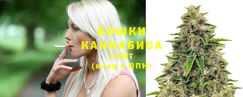 Каннабис White Widow  маркетплейс какой сайт  МЕГА онион  Вичуга  даркнет сайт 